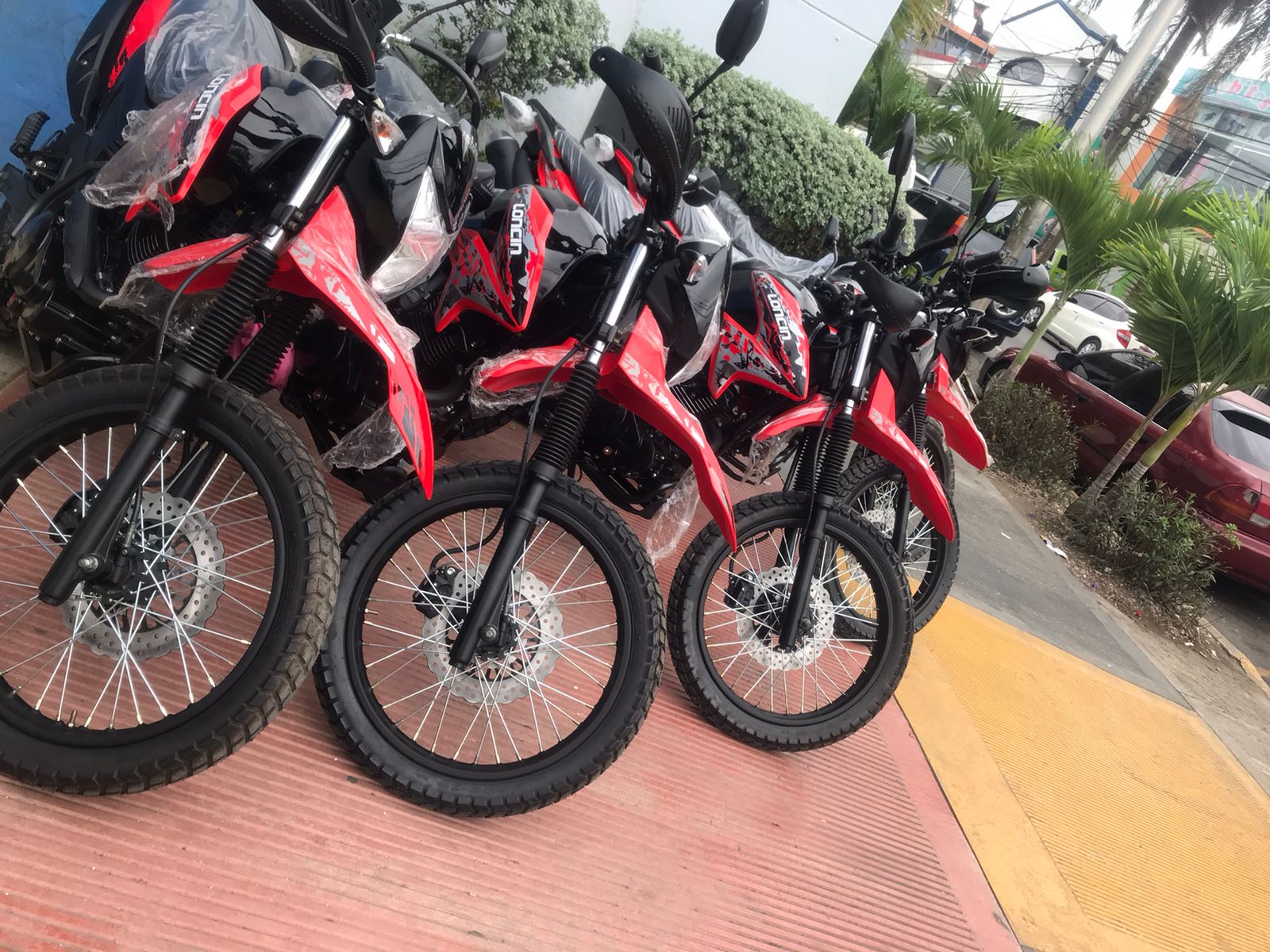 patronato1