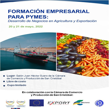pymes arte